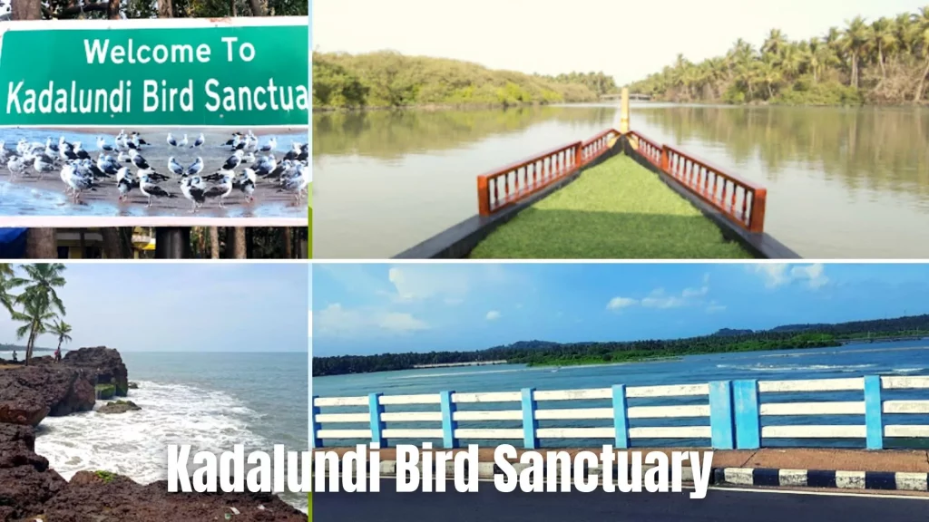 kadalundi bird sanctuary