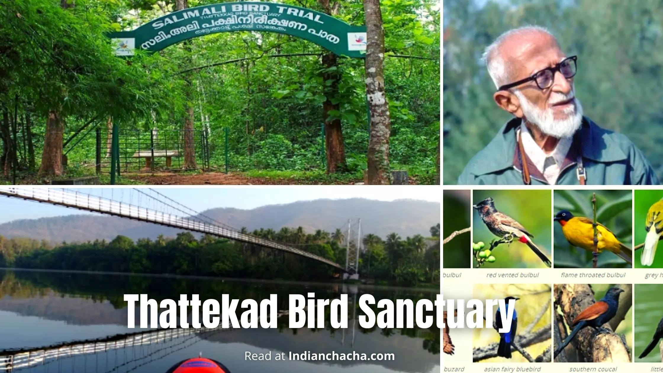 thattekad-bird-sanctuary-in-kerala-2023