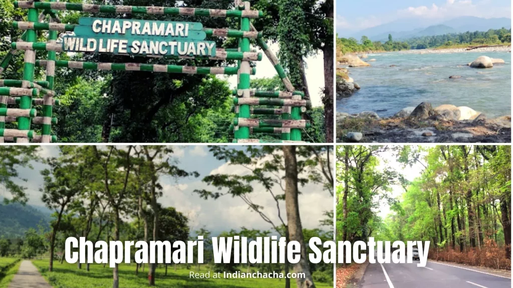 Chapramari Wildlife Sanctuary