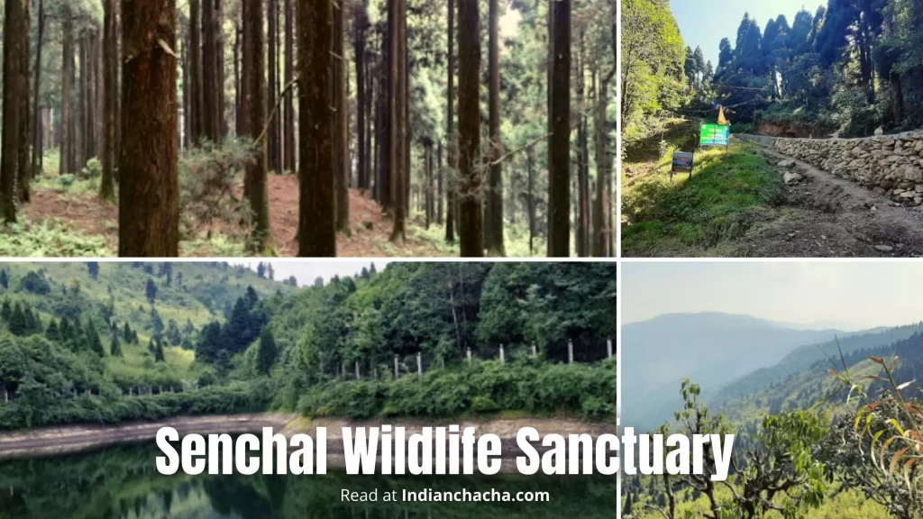 Senchal Wildlife Sanctuary