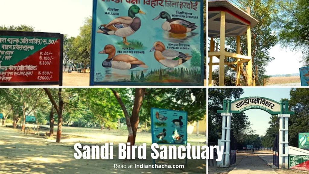 Sandi Bird Sanctuary
