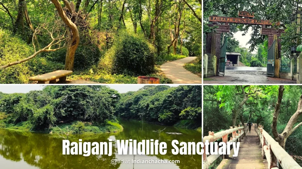 Raiganj Wildlife Sanctuary
