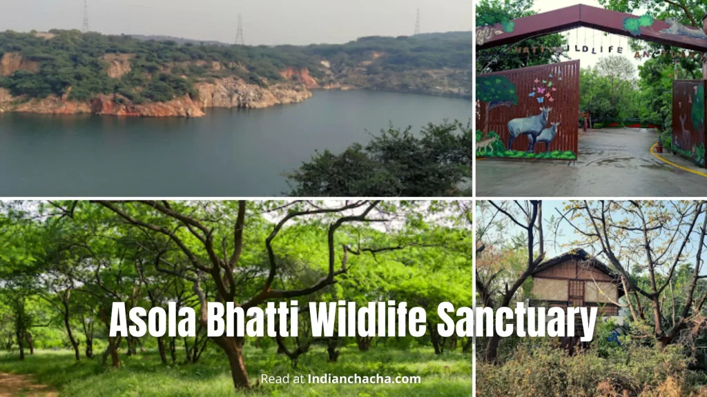 Asola Bhatti Wildlife Sanctuary