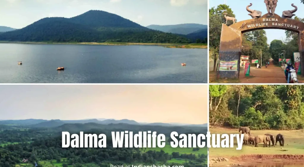 Dalma wildlife sanctuary
