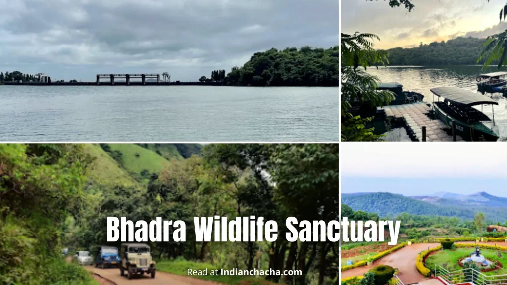 bhadra wildlife sanctuary information