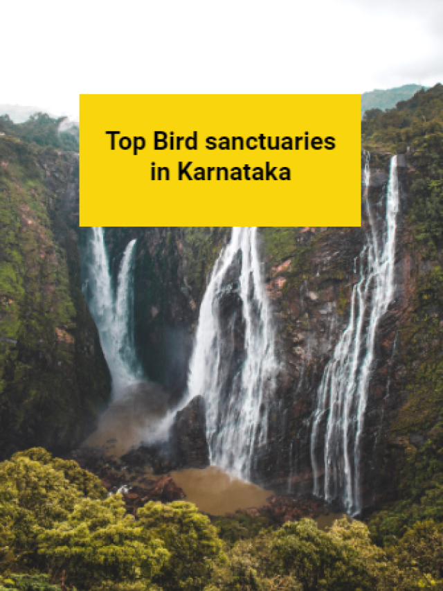 List of Top Bird sanctuaries in Karnataka